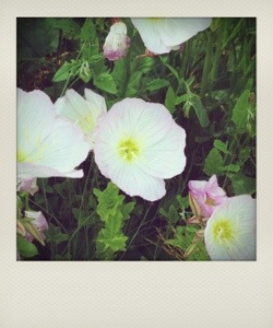 気持ちの良い一日