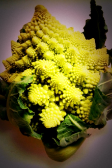 モンスターのたまご