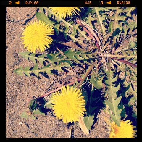 ゴールデンウィーク！